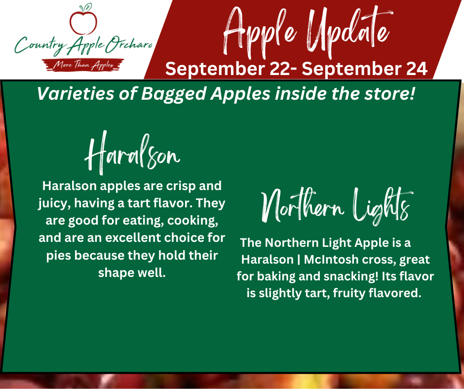 Apple Update Week 4A